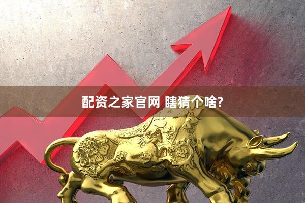配资之家官网 瞎猜个啥?